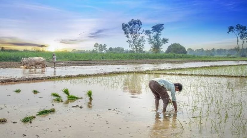 ৩. রেজিস্ট্রেশন নম্বর এবং ক্যাপচা কোড দেওয়ার পর ‘Get Data’-তে ক্লিক করতে হবে ৷৪. আপনার স্ক্রিনে স্ট্যাটাস দেখতে পারবেন ৷