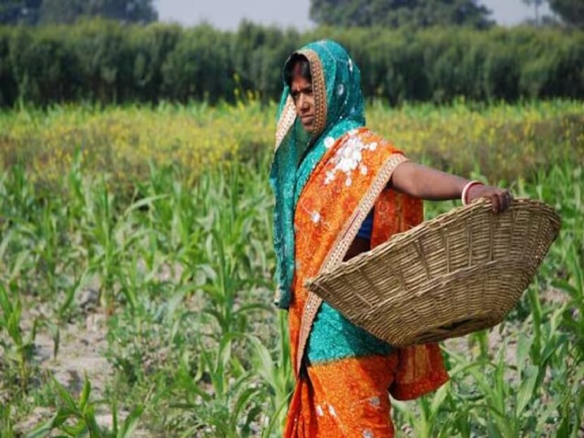 পিএম কিষাণে সুবিধাভোগী কৃষকরা ই-কেওয়াইসি আপলোড না করলেও কিস্তির টাকা পাবেন না।