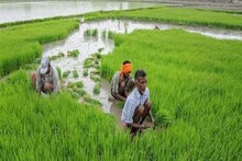 পিএম কিষান যোজনা সম্পর্কে গুরুত্বপূর্ণ তথ্য, যা না জানলেই নয়