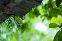 বিকাল হলেই বৃষ্টি নামবে কলকাতায়... সঙ্গে হু হু হাওয়া! গরমের দিন কি শেষ হল তাহলে?