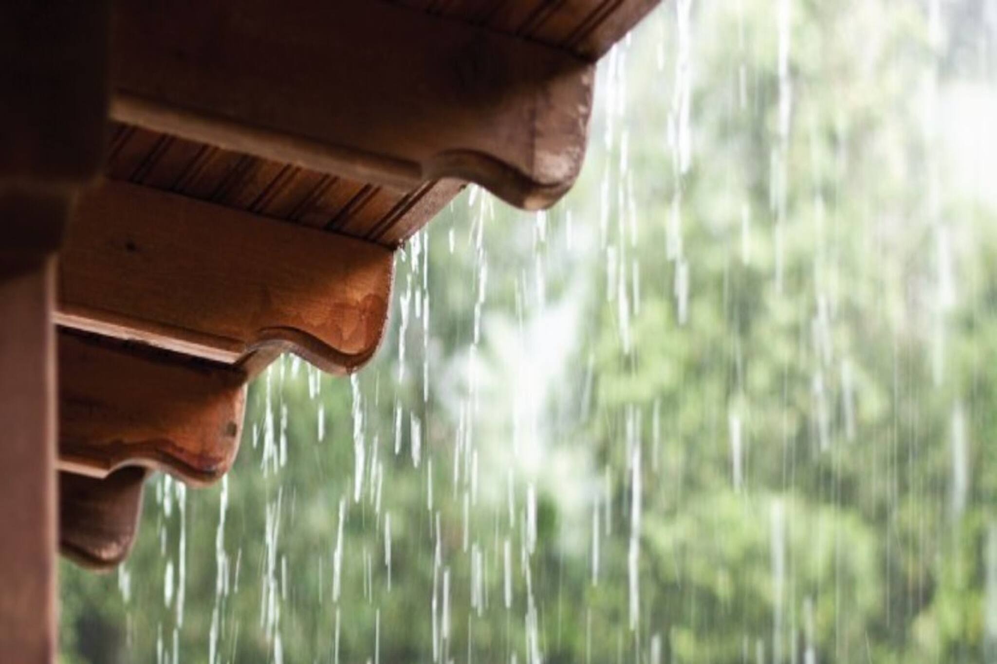 মৌসুমী অক্ষরেখা সরল...! ওয়াইড স্প্রেইড রেইন উত্তরবঙ্গে! কী সতর্কতা দক্ষিণে?