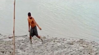 কাঁকড়া ধরতে গিয়ে কুমির?