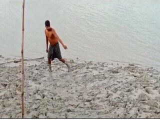 কাঁকড়া ধরতে গিয়ে কুমির?