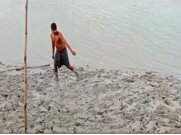 কাঁকড়া ধরতে গিয়ে কুমির?