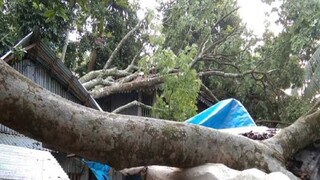 ফাইল ছবি ফাইল ছবি