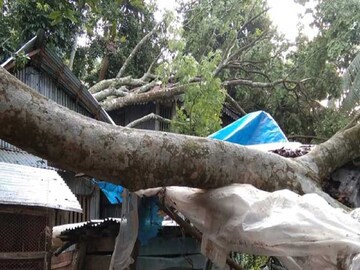 ফাইল ছবি
