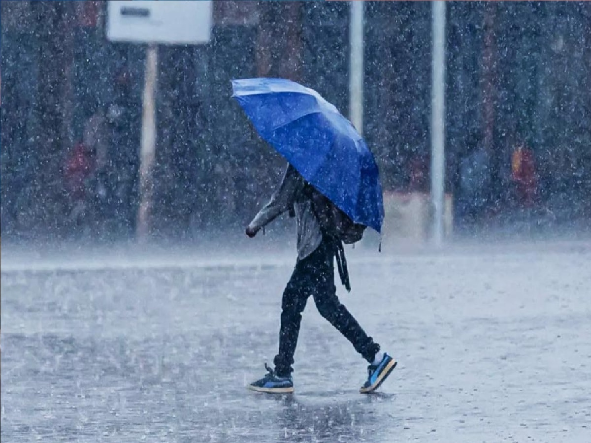 IMD Kolkata Rain Forecast: ২০ জুন ২৬-৩৪ ডিগ্রি সেলসিয়াসের মধ্যে তাপমাত্রা থাকবে। ২১ জুন থেকে বৃষ্টিপাতের পরিমাণ অনেকটাই বাড়বে। খানিক তাপমাত্রা কমে যাওয়ার ফলে এই সময়ে শহর কলকাতার বাসিন্দারা স্বস্তি পাবে।