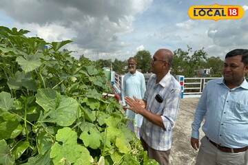 বর্ধমানের স্কুলের ছাদেই হচ্ছে মাছ এবং সব্জি চাষ, কারণ জানলে অবাক হবেন