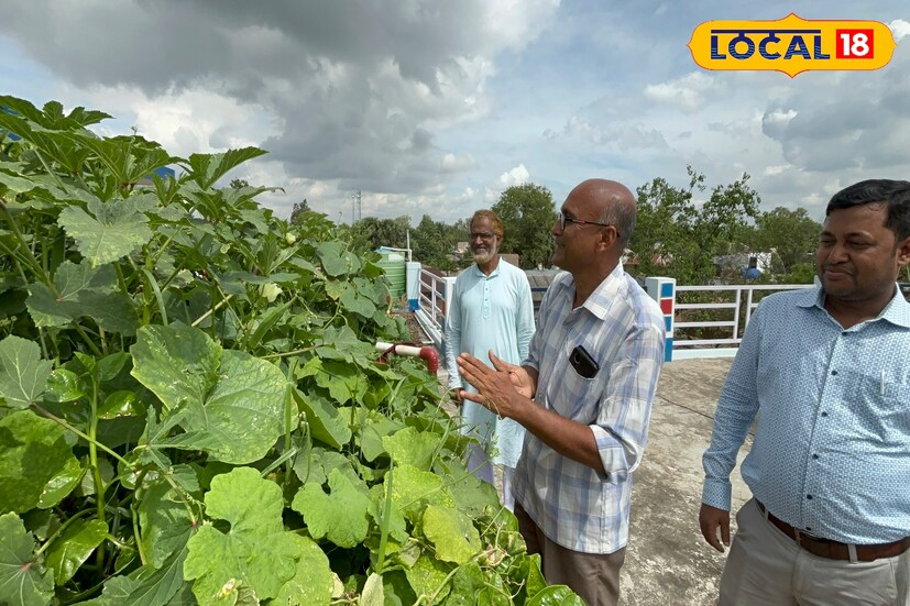 প্রাথমিক বিদ্যালয়ের ছাদেই হচ্ছে চাষবাস। গ্রামের এই প্রাথমিক বিদ্যালয়ের মাছ এবং সব্জি চাষের এই সব ছবি যেন সত্যিই নজরকাড়া।
