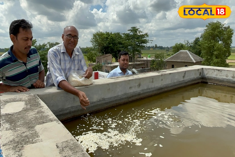 পূর্ব বর্ধমানের এই কাঁটাড়ী পূর্বপাড়া অবৈতনিক প্রাথমিক বিদ্যালযের ছাদে মাছ চাষ করা হচ্ছে। ছাদের মধ্যে ছোট্ট চৌবাচ্ছায় বেশ কয়েক রকমের মাছের চাষ করেন বিদ্যালয়ের শিক্ষকরা।