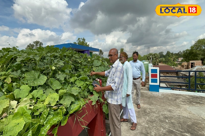 এই মাছ চাষে সহযোগিতা করে বিদ্যালয়ের পড়ুয়ারাও। মাছ চাষের পাশাপাশি সব্জি চাষও করা হয় এই বিদ্যালয়ের ছাদে।