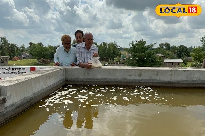 এই প্রসঙ্গে বিদ্যালয়ের শিক্ষক মোঃ নৈমুদ্দিন বলেন , &quot;বাচ্চাদের কর্মমুখী করার জন্য এবং চাষ সম্পর্কে ধারণা দিতেই বিদ্যালয়ে মাছ এবং সবজি চাষ করা হচ্ছে। ২০১৭ সাল থেকে বিদ্যালয়ে আমরা এই ধরনের চাষ করে আসছি। এই সব্জি বাচ্চারা মিড ডে মিলেও খেয়ে থাকে।&quot;