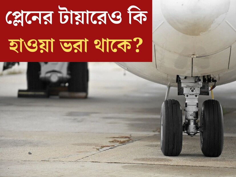 বাস, ট‍্যাক্সি হোক বা বাইসাইকেল। রাস্তায় চলা প্রতিটি যানবাহনেই থাকে চাকা। চার, তিন হোক বা দুই, চাকার সংখ‍্যা আলাদা আলাদা হলেও প্রতিটি যানবাহনে চাকা থাকবেই। বেশিরভাগ গাড়ির চাকাই তৈরি হয় রবারের। 