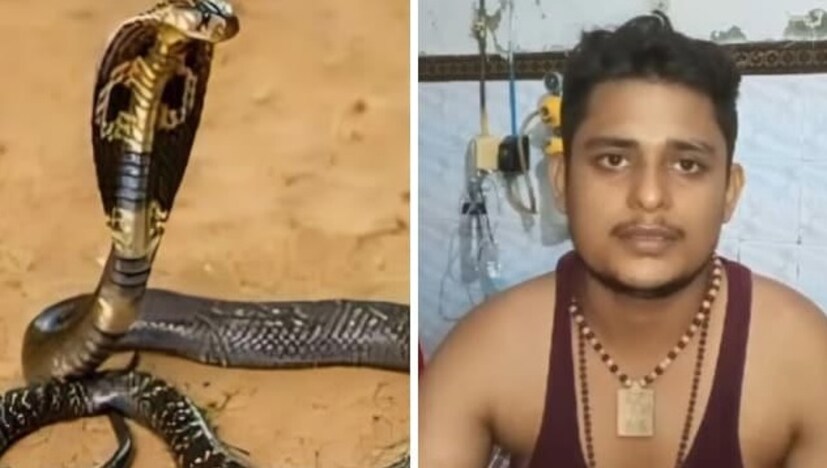 ওই যুবকের কথায়, “চিত্রকূট হনুমানজির দর্শন সেরে গত ৩০ মে আমি গ্রামে এসেছিলাম। এই সময় গত ২ জুন রাত ৮টা নাগাদ শৌচাগারে যাওয়ার সময় আমাকে সাপে কাটে। এরপরে আমার পরিবার আমায় তড়িঘড়ি নিকটবর্তী হাসপাতালে নিয়ে যায়। যেখানে আমি চিকিৎসায় সুস্থ হয়ে উঠি। এরপরের শনিবার অর্থাৎ গত ৯ জুন আবার আমায় সাপটি কামড়ায়। এই ঘটনায় আতঙ্কিত হয়ে পড়ে আমার পরিবার। এবারও আমি প্রাণে বেঁচে যাই।” বিকাশের দাবি, গত ১৬ জুন অর্থাৎ শনিবার দংশন করার আগে সাপটি তাঁর স্বপ্নে এসেছিল। ওই সময় সাপটি তাঁকে সাবধান করে যে, সে ৯ বার কামড়াবে। এমনকী সাপটি এ-ও জানায় যে, সাপে কাটলেও ৮ বার বেঁচে যাবেন তিনি। তবে নবম বার তাঁকে আর বাঁচানো যাবে না। এমনটা বলার পরেই তৃতীয় বারের জন্য সাপে কাটে বিকাশকে। 