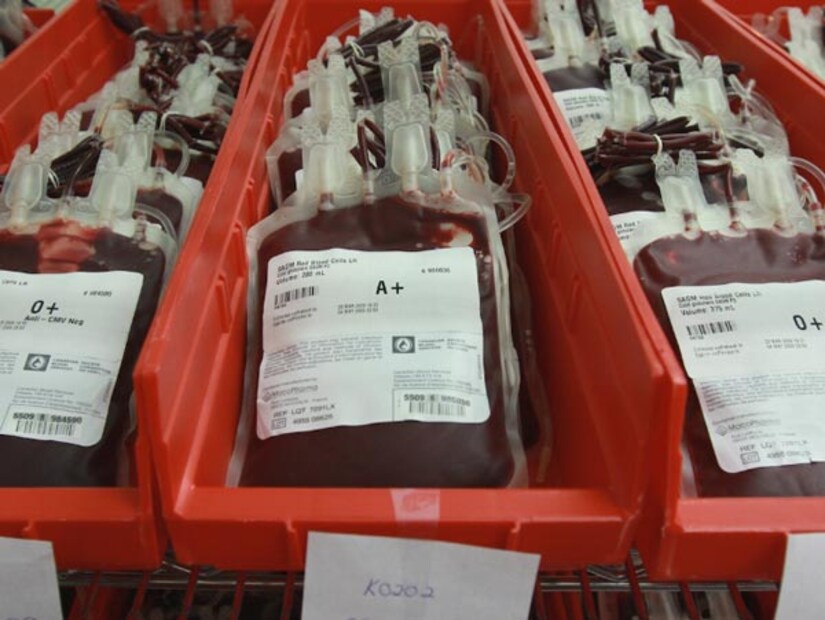 পেঁপে পাতা রক্তে অণুচক্রিকার মাত্রা বৃদ্ধি করে।