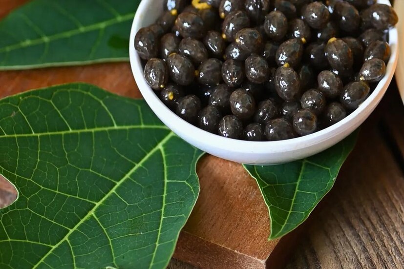 কী ভাবে খাবেন পেঁপে পাতা?পেঁপে পাতা শুকিয়ে জলের সঙ্গে ফুটিয়ে নিন। তার পর সেই জলটি ছেঁকে গরম গরম খেতে পারেন। ব্যাক্টেরিয়া সংক্রমণের ঝুঁকি কমাতেও এক্সপার্ট এই পাতা
