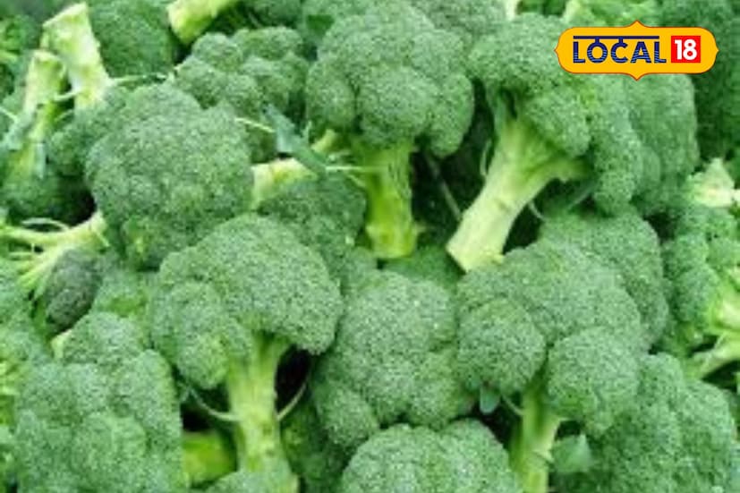 ব্রকলিতে থাকা Indole-3 carbinol এবং kaempferol শরীরে ক্যানসারজনিত প্রদাহ কমাতে সাহায্য করে। কোলন, লিভার, মূত্রাশয়, স্তন এবং ফুসফুসের ক্যানসার নিরাময়ের ক্ষমতাও ব্রকলিতে রয়েছে।