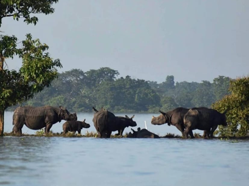 বন্যা পরিস্থিতি মোকাবিলায় বিশেষ বাহিনী পাঠিয়েছে অসম সরকার। সেই সঙ্গে পার্শ্ববর্তী ৩৭ নম্বর জাতীয় সড়কের যান চলাচল নিয়ন্ত্রণ করা হচ্ছে। 