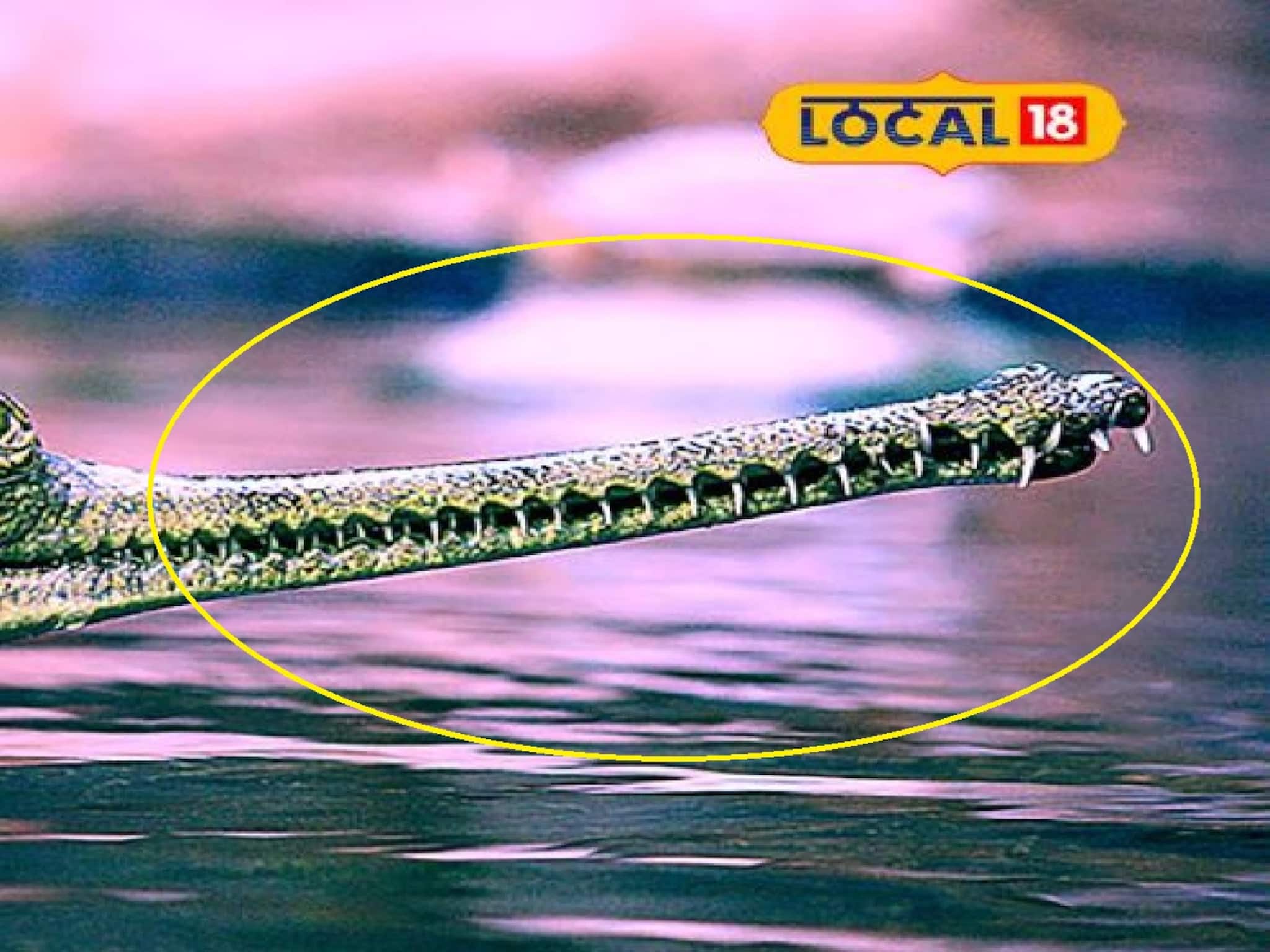 ভাসছে কিসের দাঁত?আতঙ্ক,দেখেই চোখ কপালে,গঙ্গায় স্নান করতে ভয় পাচ্ছেন সকলে