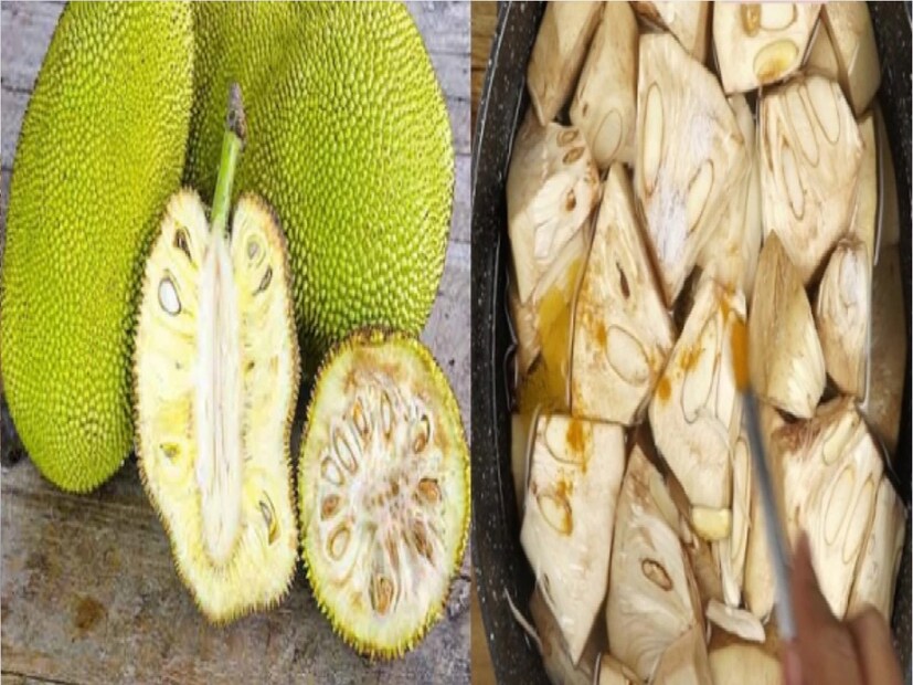 এঁচোড় আমাদের শরীরে রোগ প্রতিরোধ ক্ষমতা বৃদ্ধি করতে সাহায্য করে। এতে থাকা ভিটামিন এ এবং ভিটামিন সি বহু রোগ দূরে রাখে।
