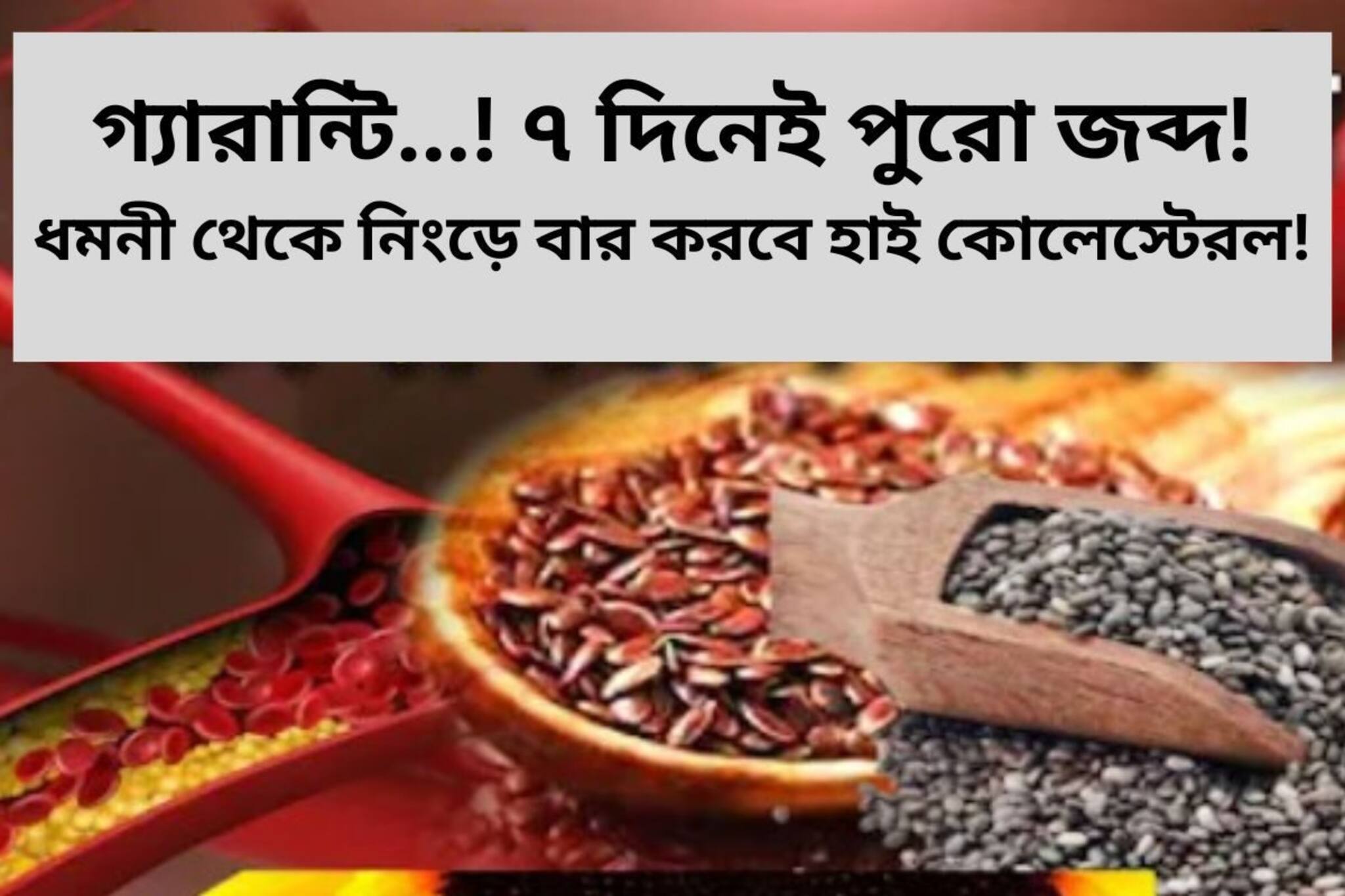 গ্যারান্টি...! ৭ দিনে পুরো জব্দ! এই ৩ জিনিস ধমনী থেকে নিংড়ে বার করবে কোলেস্টেরল