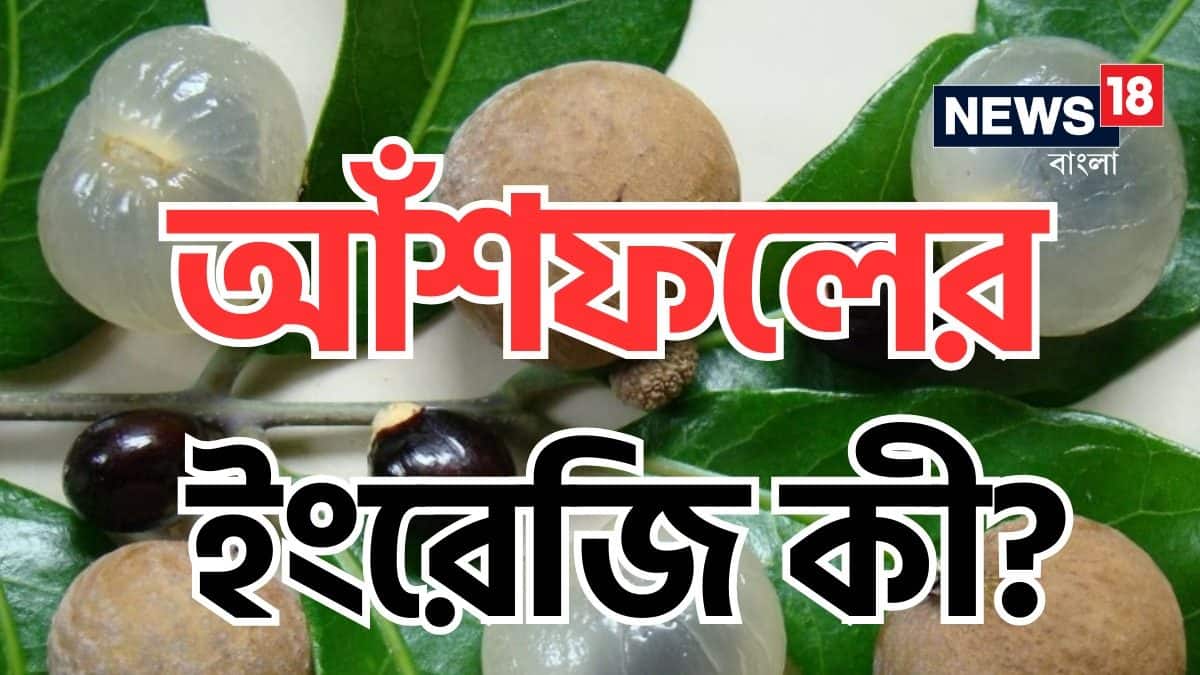 Knowledge Story What Is The English Of Ashfol Know its benefits ...