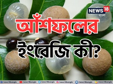 বলুন তো, আঁশফলের ইংরেজি কী? উত্তর দিতে গিয়ে হোঁচট খাচ্ছেন ৯০ শতাংশ