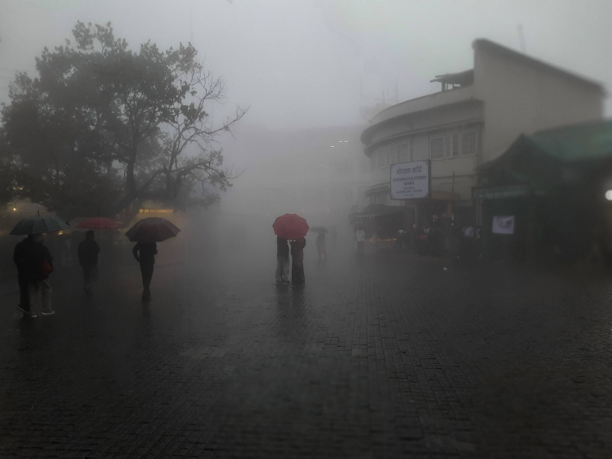 Weather update: হাতে আর মাত্র কিছুক্ষণ, ঝেপে বৃষ্টি আসছে দক্ষিণবঙ্গের চার জেলায়, হতে পারে বজ্রপাতও