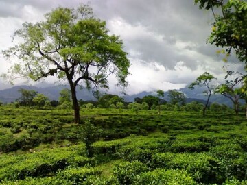 প্রতীকী ছবি৷ 