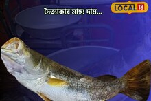দৈত্যাকার! সোনা নাকি মাছ বোঝা যায়, এতটাই দাম শুনলে চোখ কপালে উঠবে