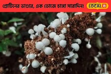 প্রোটিন সমৃদ্ধ এই ছোট ছাতু, একবার রান্না করে খেলে জিভে লেগে থাকবে