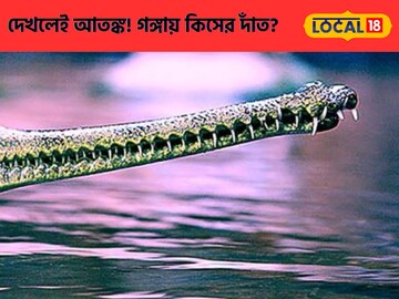 ভাসছে কিসের দাঁত?আতঙ্ক,দেখেই চোখ কপালে,গঙ্গায় স্নান করতে ভয় পাচ্ছেন সকলে