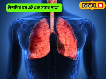 হাঁপানির কষ্ট থেকে নিমেষে মুক্তি, মোক্ষম দাওয়াই সস্তার এই পাতা!হাতের কাছেই আছে