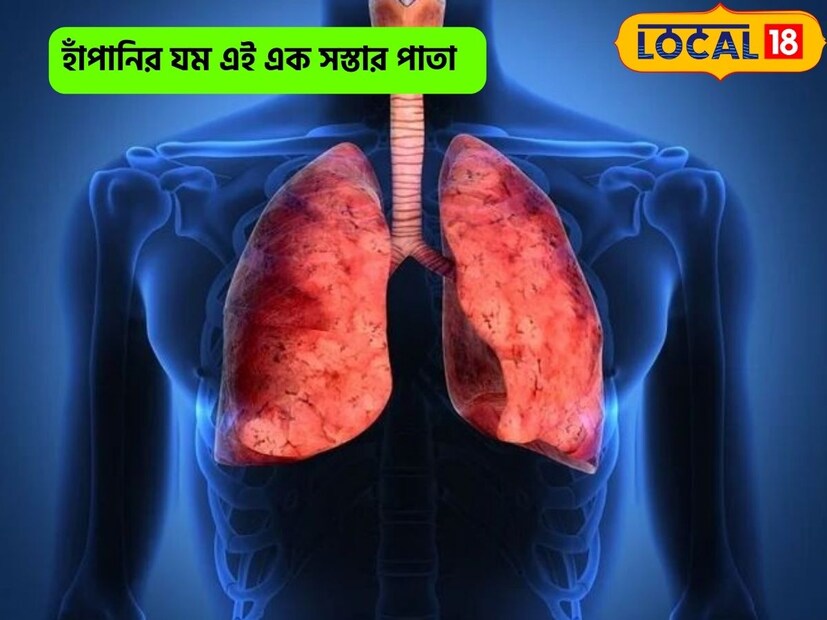 সর্দি-কাশি, হাঁপানি, ব্রঙ্কাইটিসের মতন রোগ দূর করতে সাহায্য করে পান। আয়ুর্বেদে তাই পানের গুরুত্ব অপরিসীম। শ্বাসযন্ত্র ভাল রাখতে নিয়মিত পান খাওয়ার অভ্যাস করতে পারলে ভাল।সুস্মিতা গোস্বামী