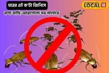 হাতের মুঠোয়ে চট জলদি ম্যাজিক, বর্ষায় মশা-মাছি-আরশোলা দূর হবে বাপ বাপ বলে!