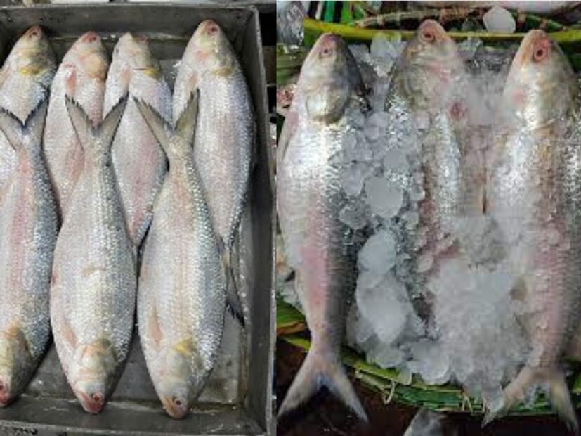 চিকিত্‍সা সংক্রান্ত একটি ওয়েবসাইট হেল্থলাইনে পুষ্টিবিদ ক‍্যাথরিন ম‍্যারেগ্নো জানিয়েছেন এই বিষয়ে। তাঁর মতে, গাঁটে ব‍্যাথা, গাউটের সমস‍্যার একটি বড় কারণ হল ইউরিক অ‍্যাসিডের বৃদ্ধি। 