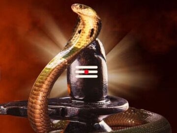 নাগ পঞ্চমীতে কাটবে ফাঁড়া...! শুভ যোগে এই সময় পুজো করলেই দূর হবে কালসর্প দোষ! নাগ পঞ্চমীতে কাটবে ফাঁড়া...! শুভ যোগে এই সময় পুজো করলেই দূর হবে কালসর্প দোষ!