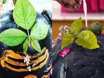 হু হু করে হাতে আসবে কাঁড়ি কাঁড়ি টাকা! শ্রাবণের তৃতীয় সোমবার করুন এই ছোট্ট কাজ