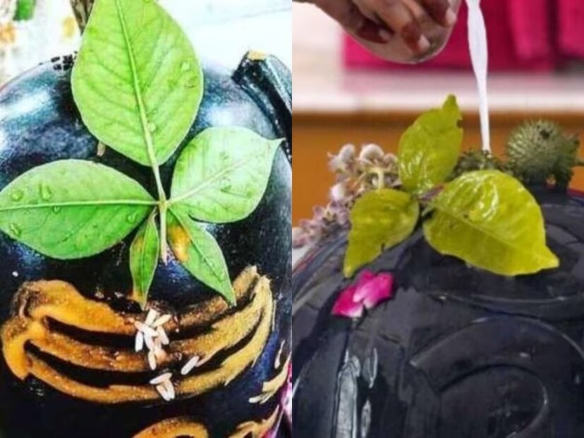 কাশীর জ্যোতিষী পণ্ডিত সঞ্জয় উপাধ্যায় জানান, শিবকে তুষ্ট করার জন্য এটাই সেরা সুযোগ৷ শ্রাবণ মাসের শেষ সোমবার ঘটতে চলেছে বিরল কাকতালীয় ঘটনা৷ এই বিরল যোগ ৯০ বছর পর ঘটতে চলেছে৷