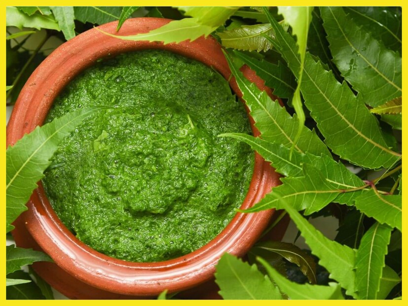 ডা. প্রিয়াঙ্কা সিং এর মতে, নিম পাতা ডায়াবেটিস এবং অন্যান্য রোগ প্রতিরোধের একটি প্রাকৃতিক ওষুধ, যা নিয়মিত খাওয়া খুবই উপকারী হতে পারে। নিমের রস খাওয়ার আগে একজন বিশেষজ্ঞের সঙ্গে পরামর্শ নিন, যাতে আপনার প্রয়োজন অনুযায়ী সঠিক পরিমাণ এবং সময়কাল নির্ধারণ করা যায়।