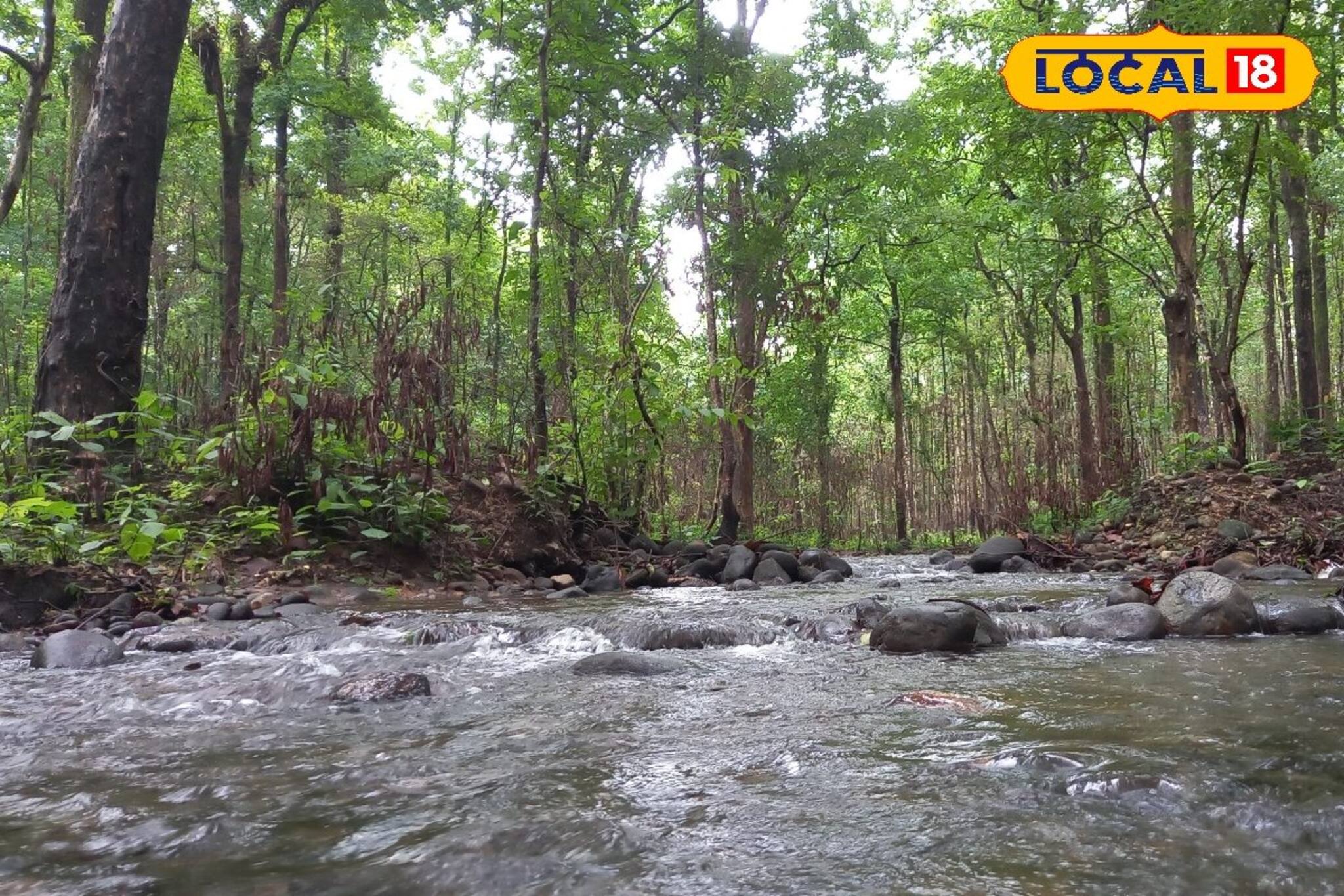 সাফারি বন্ধ, তাতে কী? বর্ষায় আরও সুন্দরী হয়ে ওঠে ডুয়ার্স! কোথায় যাবেন? জানুন