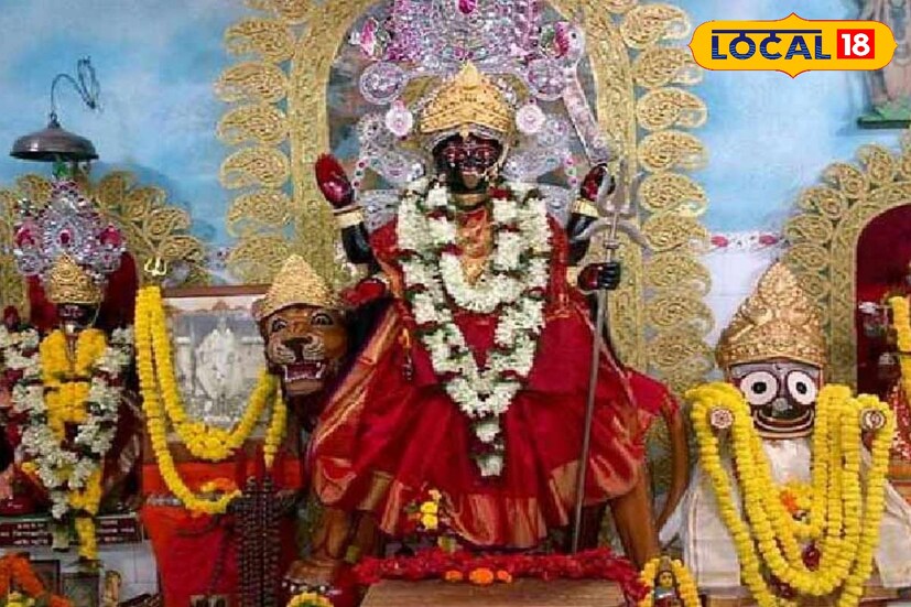হিন্দু বাঙালিদের কাছে বিপত্তারিণী পুজো বিশেষ মাহাত্ম্যপূর্ণ। শক্তিরূপিনী দেবীরই এক রূপের প্রকাশ পায় তাঁর মধ্যে। পশ্চিমবঙ্গ ছাড়াও ওডিশা ও অসমে এই পুজো পালিত হয়। বিশেষ করে বাড়ির মহিলাদের মধ্য ভক্তি ও নিষ্ঠা সহকারে বিপত্তারিণী মায়ের পুজো প্রচলিত আছে।