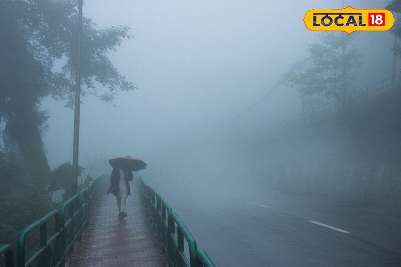 পাশাপাশি ভারী বৃষ্টি হতে পারে দার্জিলিং এবং কালিম্পঙে। অন্যদিকে বজ্রবিদ্যুৎ সহ হালকা থেকে মাঝারি বৃষ্টির সম্ভাবনা থাকছে উত্তরবঙ্গের নিচের দিকের জেলাগুলিতে। 