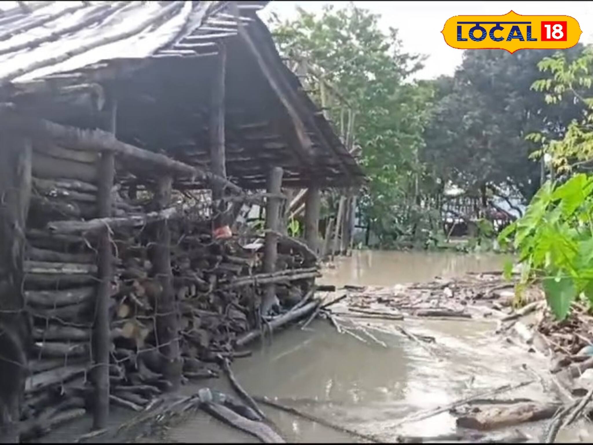 প্রবল বৃষ্টিতে তিস্তার অতলে লাল টং বস্তির বাসিন্দারা! অস্তিত্বের সংকটে গ্রাম