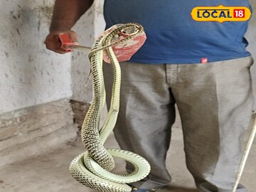স্কুলে