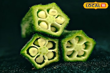 Lady Finger Health:শুধু শুধু কি আর ঢ্যাঁড়শ বলা হয়,গুণে ঠাসা,আটকায় একাধিক রোগ Lady Finger Health:শুধু শুধু কি আর ঢ্যাঁড়শ বলা হয়,গুণে ঠাসা,আটকায় একাধিক রোগ