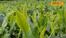 ফার্স্ট ফ্ল্যাশের উৎপাদনে ধাক্কা, টানা বৃষ্টিতে সেকেন্ড ফ্ল্যাশ'ও ক্ষতির মুখে