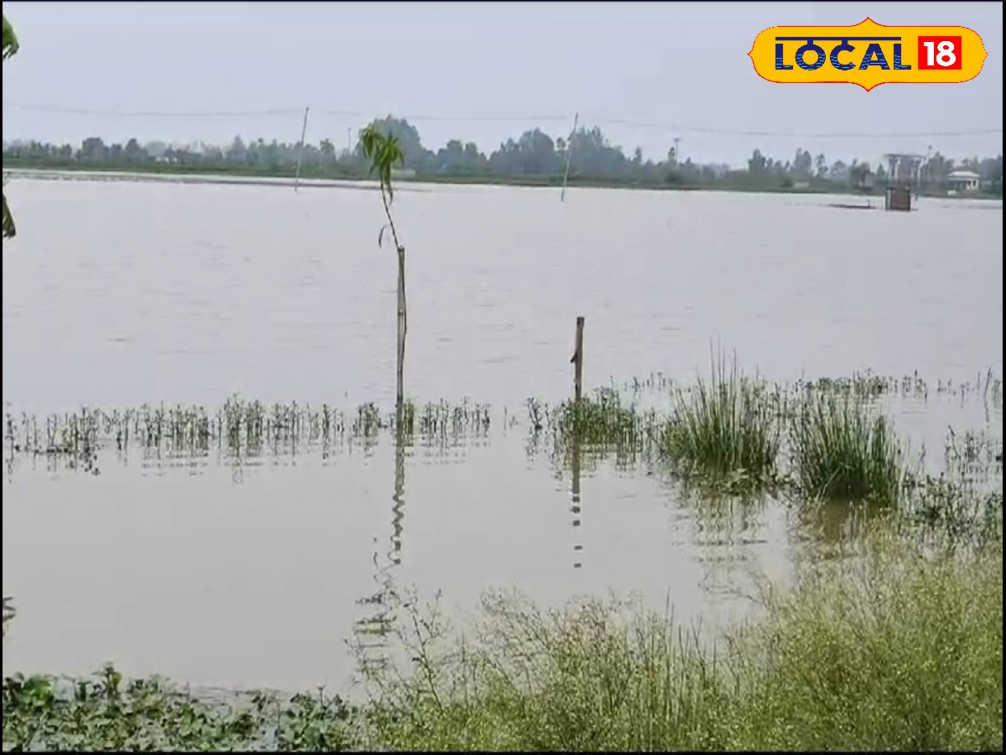 বিএসএফ কালভার্ট বন্ধ রাখায় বাংলাদেশ সীমান্তে মারাত্মক ক্ষতি চাষিদের!
