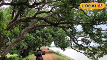 রাজবাঁধ 