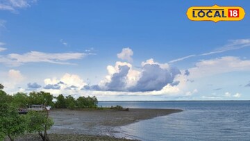 কুলতলির